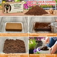thumbnail image 6 of Legigo 8 Pack Premium Coco Coir Brick for Plants- 100% Organic Compressed Coconut Coir Bricks Starting Mix, Coco Coir Fiber Coconut Husk for Planting, Gardening, Potting Soil Substrate, Herbs, 6 of 7