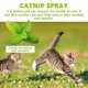 thumbnail image 3 of Spray Herbal Cat Joy, Spray de hierba gatera para mascotas, Spray Herbal Cat Joy, Spray de hierba gatera para gatos, Spray calmante de hierba gatera, Spray de hierba gatera para gatos de interior, 1, 3 of 5