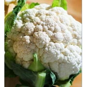 Cauliflower, Snowball Self Blanching Seeds