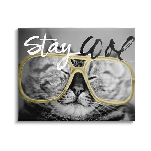 Stupell Industries Stay Cool Cat Glasses Graphic Art Gallery Wrapped Canvas Print Wall Art, Design by Sundance Group