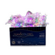 thumbnail image 1 of Cortina Decorativa Navicolors Luz LED Multicolor 800 Focos 3x3 m Cable Transparente, 1 of 2