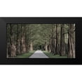 thumbnail image 2 of Prime, Marcus 14x9 Black Modern Framed Museum Art Print Titled - Freedom Road 2, 2 of 5