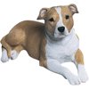 Sandicast Pit Bull Terrier, UC