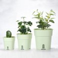 thumbnail image 5 of Unique Bargains S/M/L Plastic Plant Pots Flower Planters with Water Indicator Removable Base, Light Green 3 Pack, 5 of 5