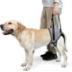 thumbnail image 1 of Supportive Dog Sling for Back Legs - Soft Lifting Aid for Mobility Assistance, 1 of 5