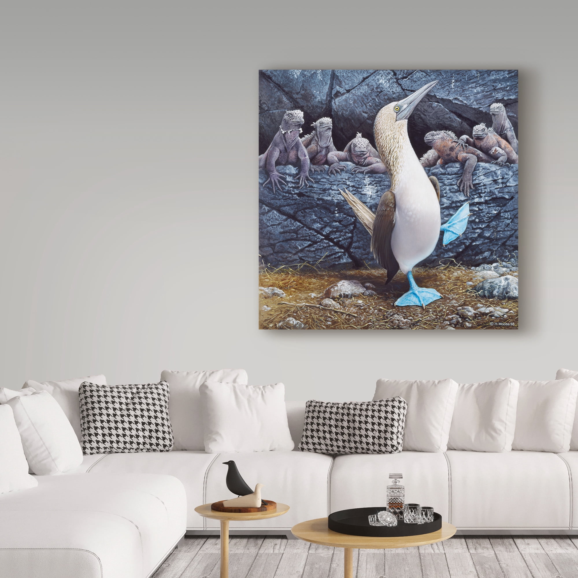 Trademark Fine Art 'Blue Footed Boobies' Canvas Art by Harro Maass