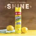 thumbnail image 5 of Endust Multi-Surface Dusting and Cleaning Spray, Lemon Zest, 12.5 Ounce (Pack of 2), 5 of 9