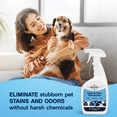 thumbnail image 6 of Odorable Stain & Odor Eliminator (32 oz) - Professional Cleaner for Pet Urine, Vomit & Feces, Safe on Carpet, Couch & Floor, Pet Stain Eliminator Spray, Advance Odor Control Technology, 6 of 6