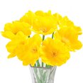 thumbnail image 1 of PU Mini Flor artificial Ministerio del Interior Decoración Floral Ceremonia del banquete de boda Flor falsa, Amarillo 10 Piezas tholdsy  HA6610-04B*10, 1 of 3