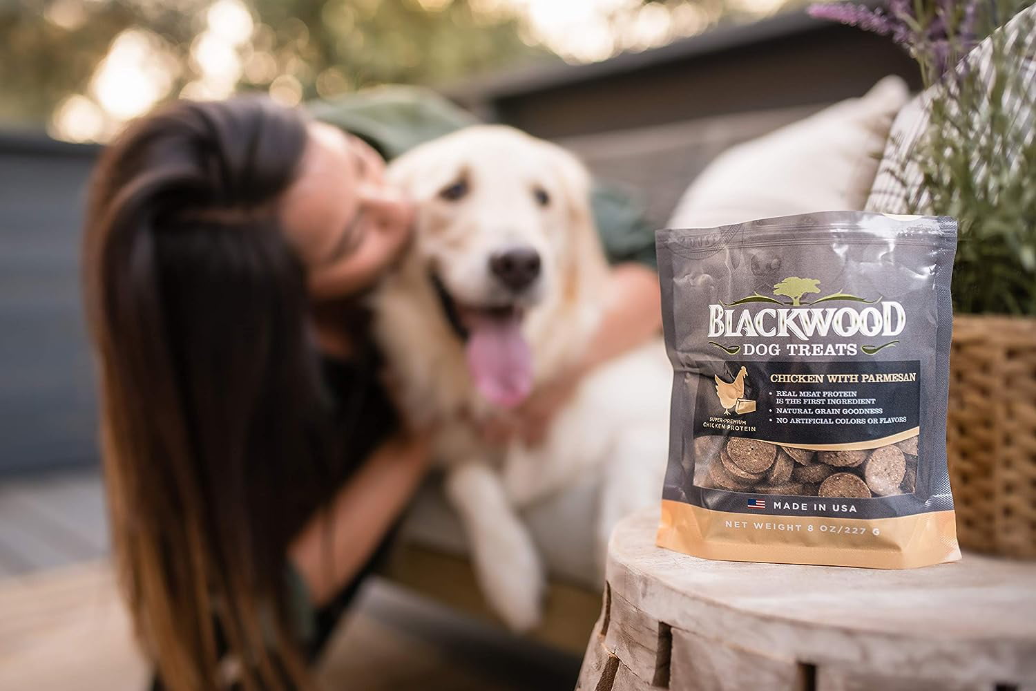 Blackwood Pet Food Oven Baked Dog Treats Made in USA [Natural Dog Treats  for Healthy Snacks] Perfect for Dog Training Treats, Chicken with Parmesan,  Brown (22609) 