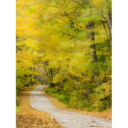 Wind Blurs the Fall Colors Along Kelly Stand Road, Vermont, Usa Print Wall Art By Jerry & Marcy