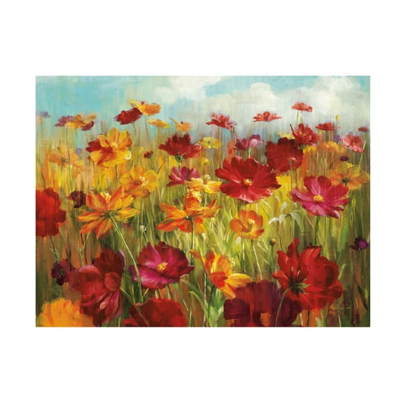 Trademark Fine Art 'Cosmos in the Field' Canvas Art by Danhui Nai