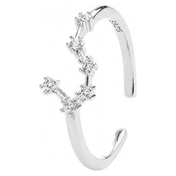 Horoscope Ring 925 Sterling Silver Statement Ring for Women