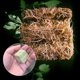 thumbnail image 4 of Inteprter 50 Uds. De hojas de jardín, cubos de inicio de plantación sin tierra de lana de roca, cubos de siembra hidropónicos Jardín y Patio No.02 Inteprter HA004022-02B, 4 of 6