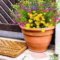 thumbnail image 3 of Outdoor Artificial Fake Flowers UV Resistant No Fade Boxwood Faux Plastic Shrubs Plants for Garden Patio Porch Window Box Home Wedding Farmhouse Hanging Décor, 3 of 5