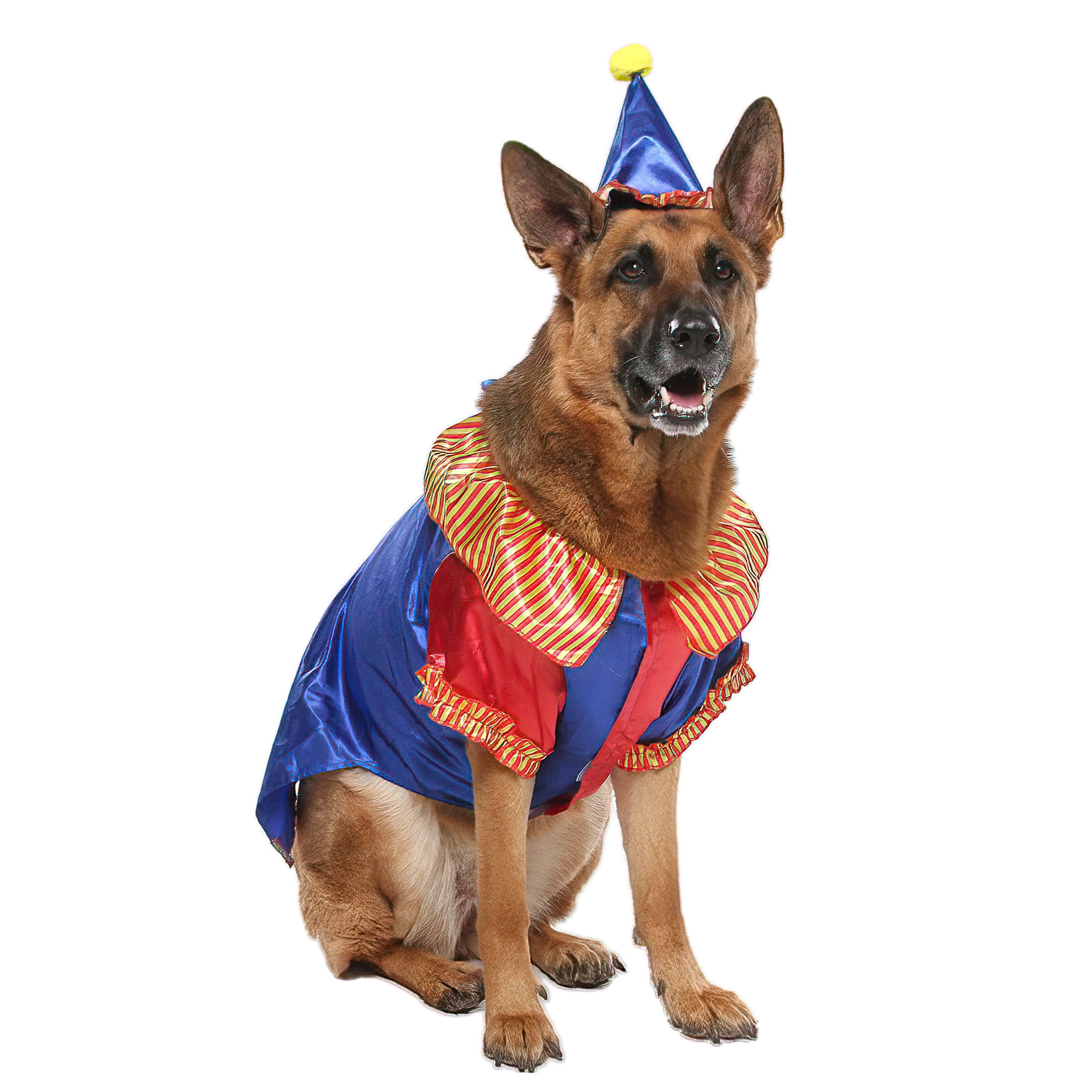 Vibrant Life Halloween Dog Costume and Cat Costume: Clown, Size Small 