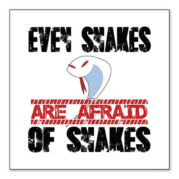 DistinctInk Custom Bumper Sticker - 10" x 10" Decorative Decal - White Background - Even Snakes are Afraid of Snakes