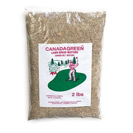 Canada Green Grass Lawn Seed - 2 Pound Bag (Best Grass Seed For South Florida Lawns)