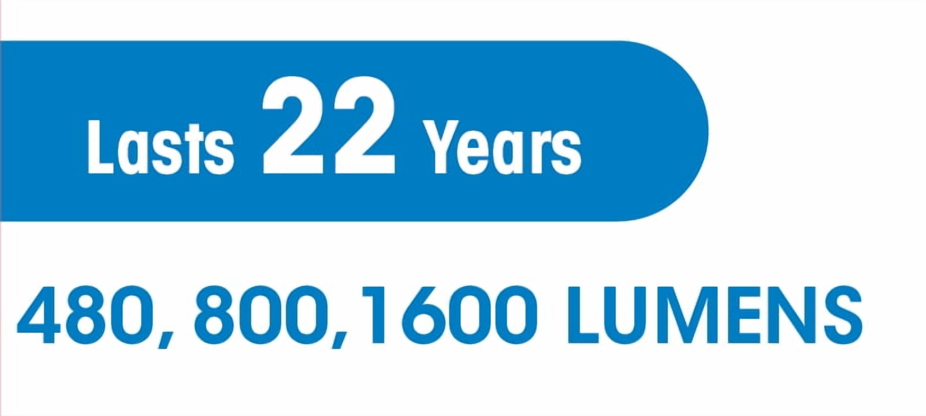 Great Value LED A21 Light Bulb, 16W (100W Equivalent) 3way Lamp E26 Medium Base, Non-Dimmable, Daylight, 1 Pack
