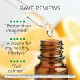 thumbnail image 5 of Botanic Choice Lemon Balm Liquid Extract, Alcohol Free, 2 fl. oz, 5 of 7