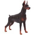thumbnail image 6 of M Buder Static Doberman Dog Figurine, Highly Detailed PVC Animal Figure Toy for Kids Early Cognition and Education, Perfect for Collection and Room Decoration (6.4 inches / 16.3 cm), 6 of 9
