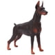 thumbnail image 5 of Figurita de perro figura de perro animal simulación sensorial regalo cognición juguete muy detallado para decoración para mayores de 3 años para colección ANGGREK Otros, 5 of 8