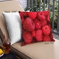 thumbnail image 1 of Ahgly Company Foods Raspberry Coussin Extérieur, 18 Pouces par 18 Pouces, 1 of 6