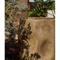thumbnail image 4 of Modern Magnesium Planter, 4 of 7