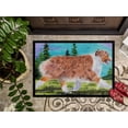 thumbnail image 3 of Carolines Treasures SS8423JMAT Australian Shepherd Doormat - 24 x 36 in., 3 of 4