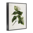 thumbnail image 3 of Stupell Industries Cottage Black Framed Giclee Art, 11 x 14, by Tina Higgins Designs Inc., 3 of 8