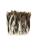 thumbnail image 1 of Zucker Feather Products Rooster Coque Tails Feathers Chinchilla - 11-14" - Natural, 1 of 2