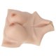 thumbnail image 1 of Pecho Falso de silicona ANGGREK Alto elastómero Copa 1 C Prótesis Realista Para Cosplay mujeres, 1 of 7