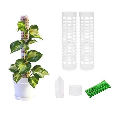 

Fovolat Moss Pole Moss Sticks for Indoor Plants Climbing Moss Sticks Plants Growing Support Extension Stick Pillar Garden Planting Grow Upwards refined