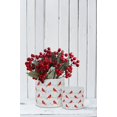 thumbnail image 4 of Allover Cardinals Planter, 4 of 4