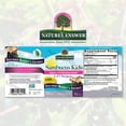 thumbnail image 2 of Nature's Answer Sambucus for Kids, Suplemento de Apoyo Inmunológico, 240 ml, 2 of 2