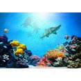 thumbnail image 2 of wall26 Large Wall Aquarium with Groups Sharks and Sunny Sky Shining Through Clean Ocean Water Vinyl Wallpaper Removable Decorating - Canvas Art Wall Decor - 100"x144", 2 of 5