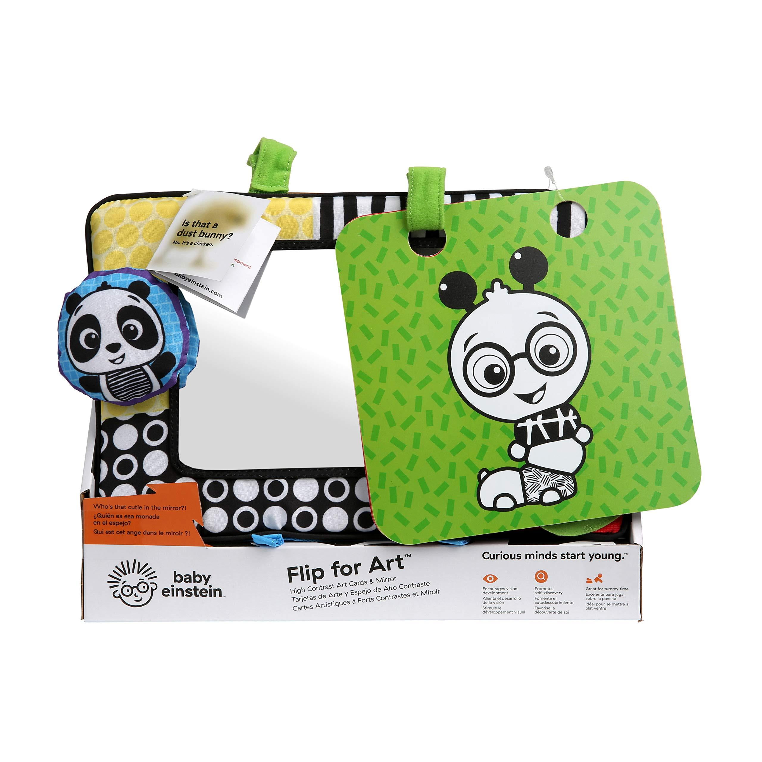 baby einstein flip for art