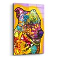 thumbnail image 2 of Epic Art 'Ready For Zoomies' by Dean Russo, Acrylic Glass Wall Art, 12"x16", 2 of 8