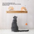 thumbnail image 4 of Wall Mounted Cat Hammocks,  Kitten Wall Bed with Secure Mount, Reduces Boredom and Promotes Exercise, 4 of 8