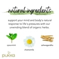 thumbnail image 2 of Pukka Herbs Organic Herbal Tea, Peace, Caffeine-Free, 20 Sachets, 1.05 oz (30 g), 2 of 7