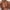 #Beige, variant on TEVEQ Bikini Tops for Women Women's Triangle Bikini Tops String Halter Push Up Padded Swimsuit Top Bag Plus Size Beach Bikini Large Backless Swimsuit Top for Women Beige L