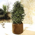 thumbnail image 6 of Joernso Winter Garden Warm Basin Tree Insulation Bag Plam Fiber Anti UV Plant Pot Cover, 6 of 7