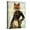 Canvas, variant on Art.com Admiral Fox Full Art Print by Fab Funky, 12" x 16"