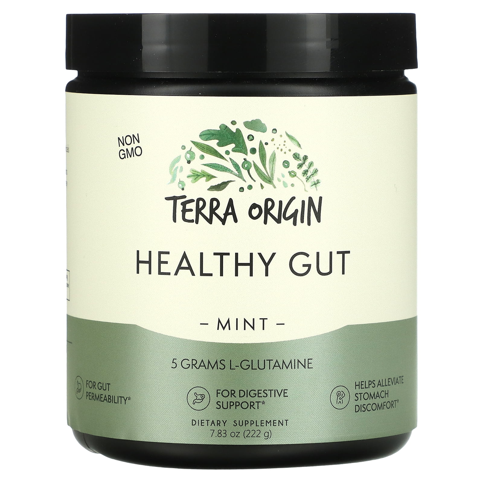 Healthy Gut, Mint, 7.83 oz (222 g), Terra Origin