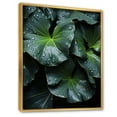 thumbnail image 2 of Designart "Bat's Colorful Gaze" Animals Floater Framed Wall Art Print, 2 of 7