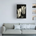 thumbnail image 2 of Trademark Fine Art Martha Guerra Tulips Canvas Wall Art - 22x32, 2 of 5