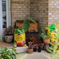 thumbnail image 5 of Miracle-Gro Potting Soil Mix 50L, 5 of 5