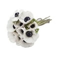 Bloomingmore, Anemones, 140 stems, Panda White and Blue Farm Fresh ...