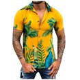 thumbnail image 1 of Camisa suelta de manga corta con estampado hawaiano y solapa para hombre Pompotops oipoqjl44721, 1 of 3
