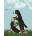 thumbnail image 2 of Fab Funky 15x18 White Modern Wood Framed Museum Art Print Titled - Bernese Scooter, 2 of 4